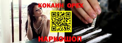 индика Сланцы