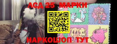 индика Сланцы