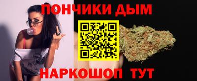 индика Сланцы