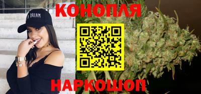 индика Сланцы