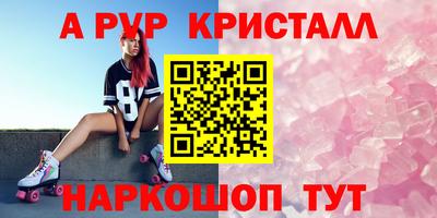 индика Сланцы