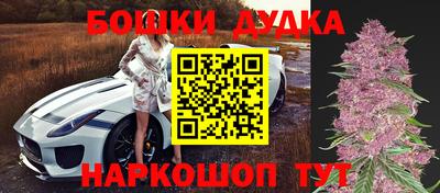 индика Сланцы