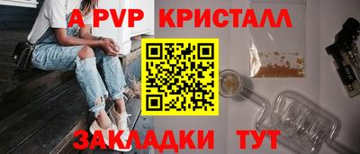 индика Сланцы