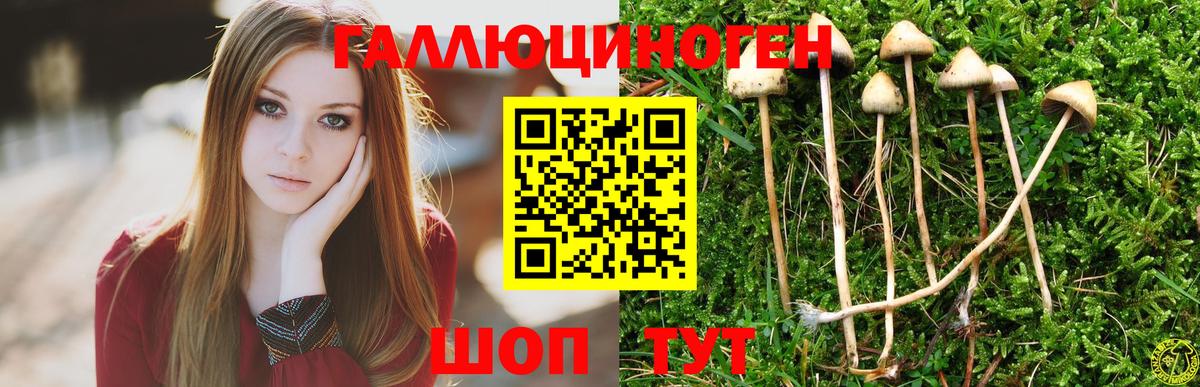 сколько стоит  Галлюциногенные грибы Magic Shrooms  Сафоново  Вход с VPN  Псилоцибиновые грибы мицелий 